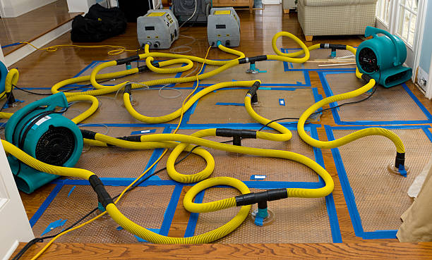 Professional Burst Pipe Water Damage technician working in Waterloo, IL